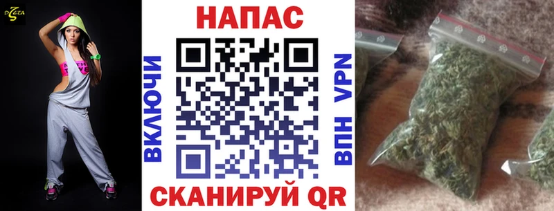 Купить закладки  Ардатов  Бошки Шишки Ganja 